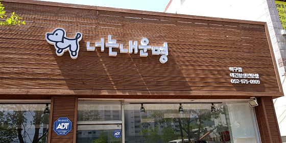 너는내운명 · 네이버 지도·플레이스 6