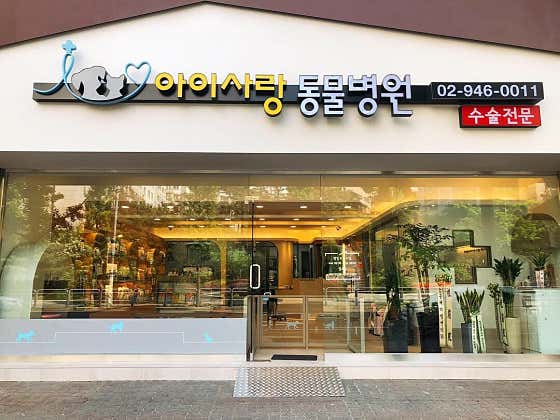 아이사랑동물병원 대표이미지