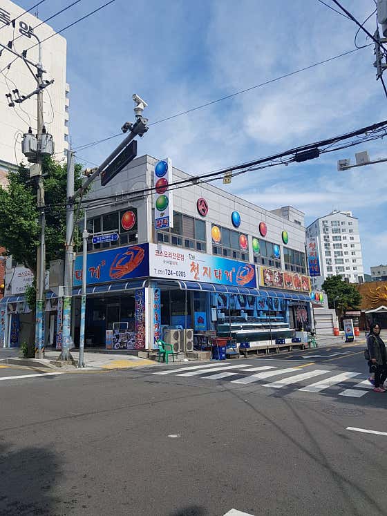 알파 빌리어드 클럽