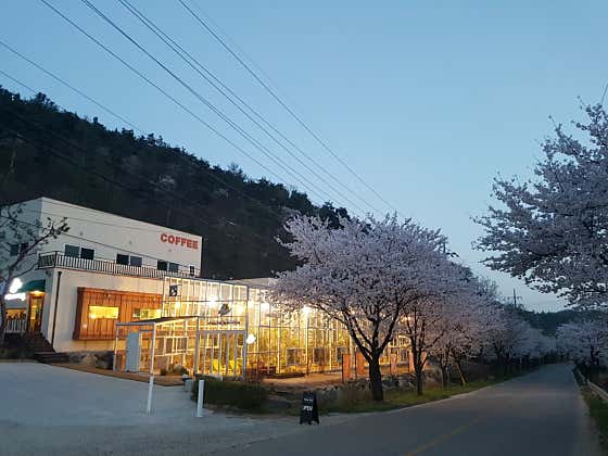 카페마카우 메뉴