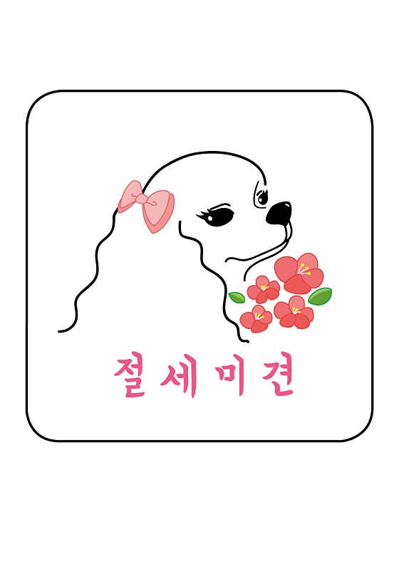 절세미견
