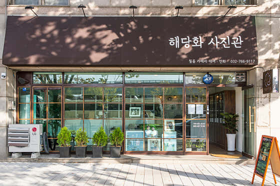 해당화사진관