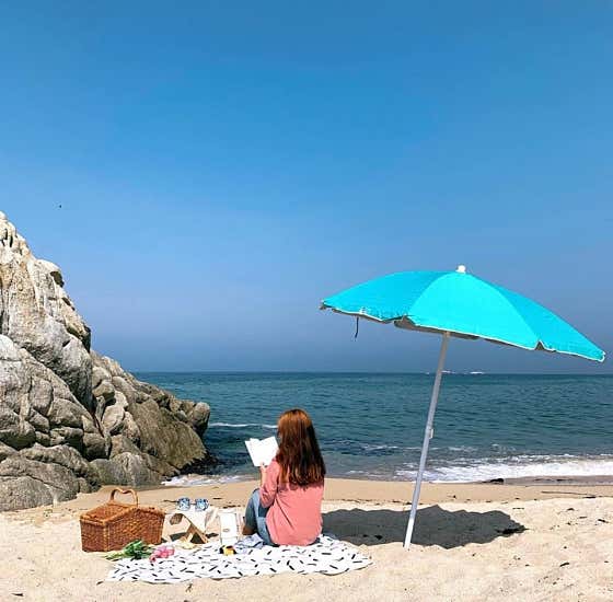 카페에세이 · 네이버 지도·플레이스 7