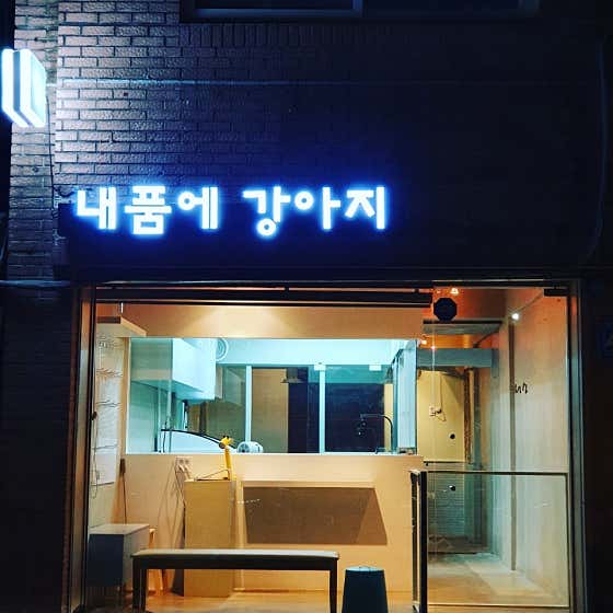 내품에 강아지