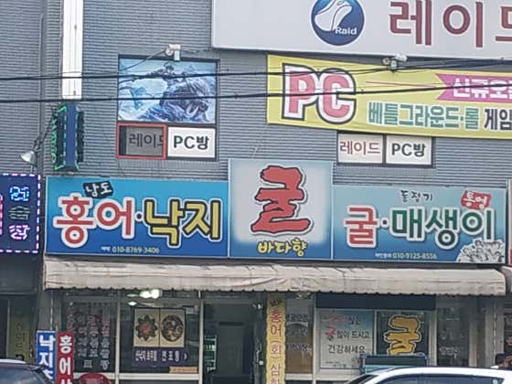 바다향