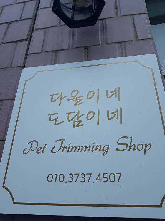 다올이네도담이네