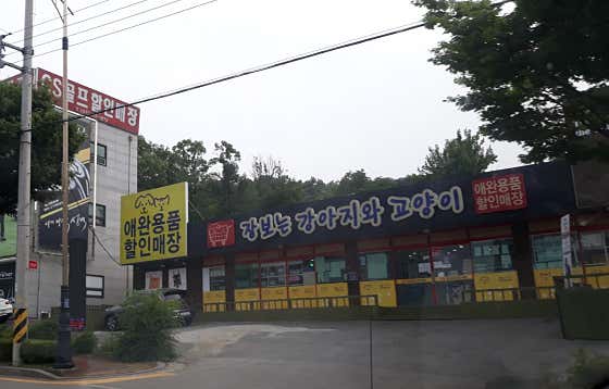장보는강아지와고양이 분당궁내점