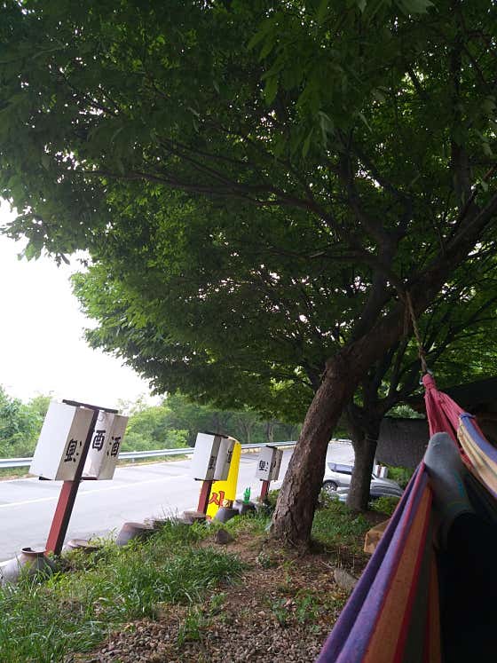 도자기에국시한그릇 본점 · 네이버 지도·플레이스 10