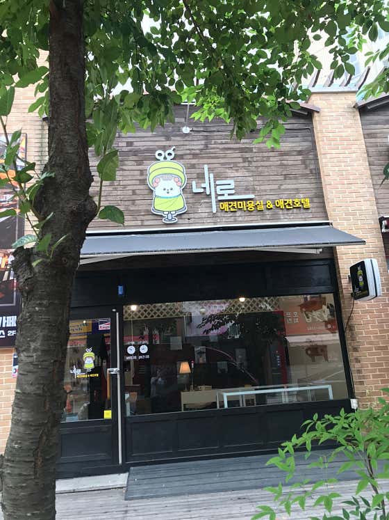 네로 애견미용실 대표이미지