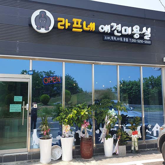 라프's애견미용실