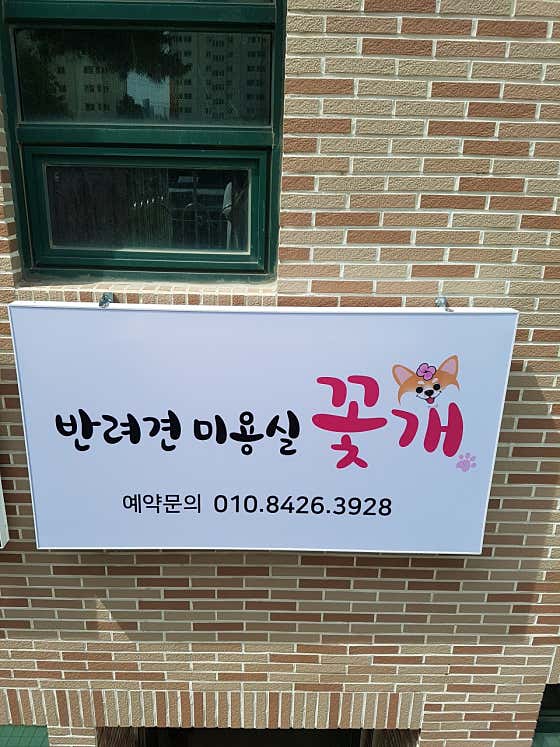 꽃개애견미용실