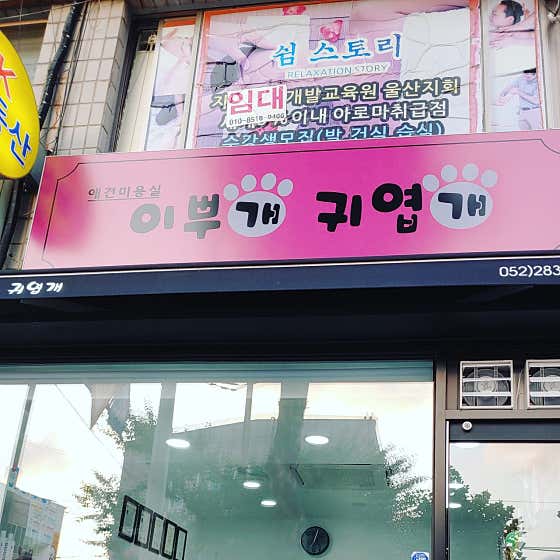 이뿌개 귀엽개 대표이미지