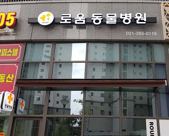 기흥로움동물병원