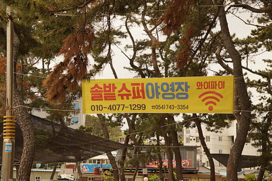 솔밭캠핑장 대표이미지
