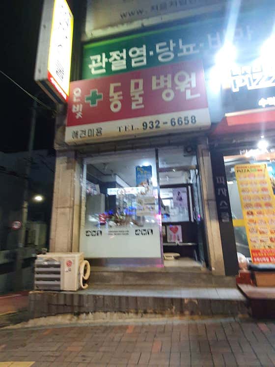 은빛동물병원 대표이미지