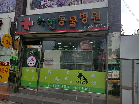 녹번동물병원 대표이미지