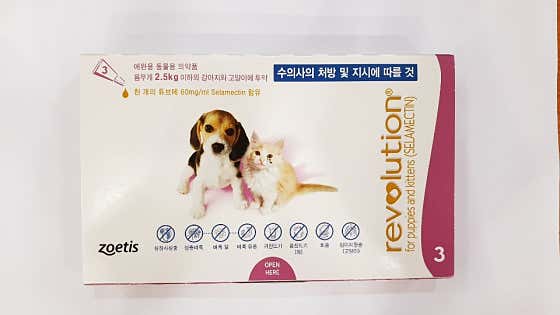 금호동동물약국 · 네이버 지도·플레이스 7