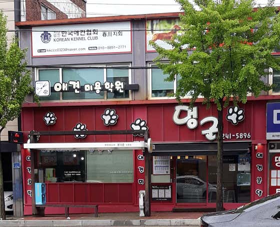 멍군애견
