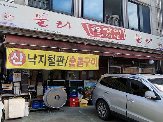 불티꼼장어 사진 2