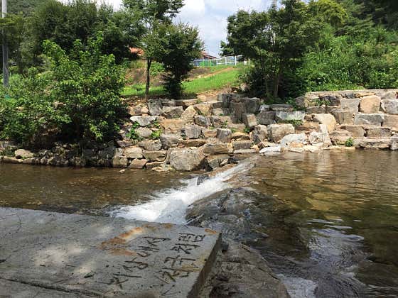 원경식당 · 네이버 지도·플레이스 4