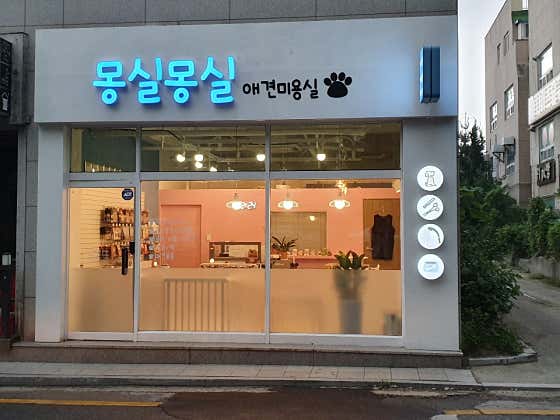 몽실몽실 애견미용실 대표이미지