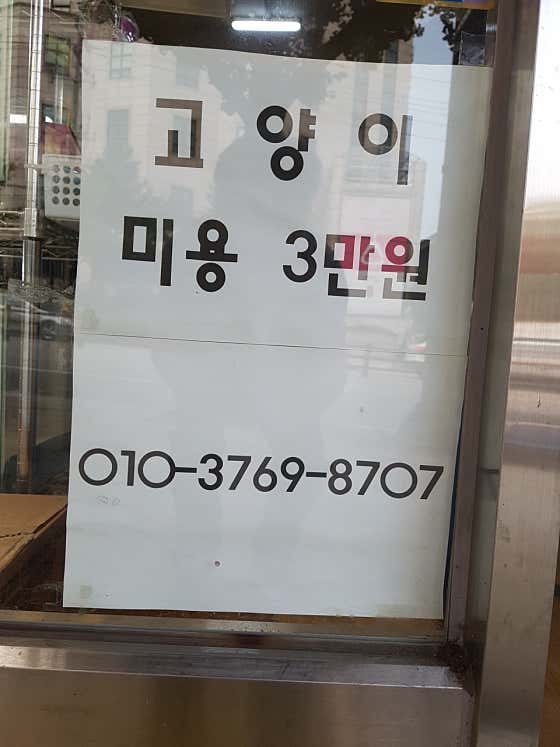 수애견 · 네이버 지도·플레이스 2