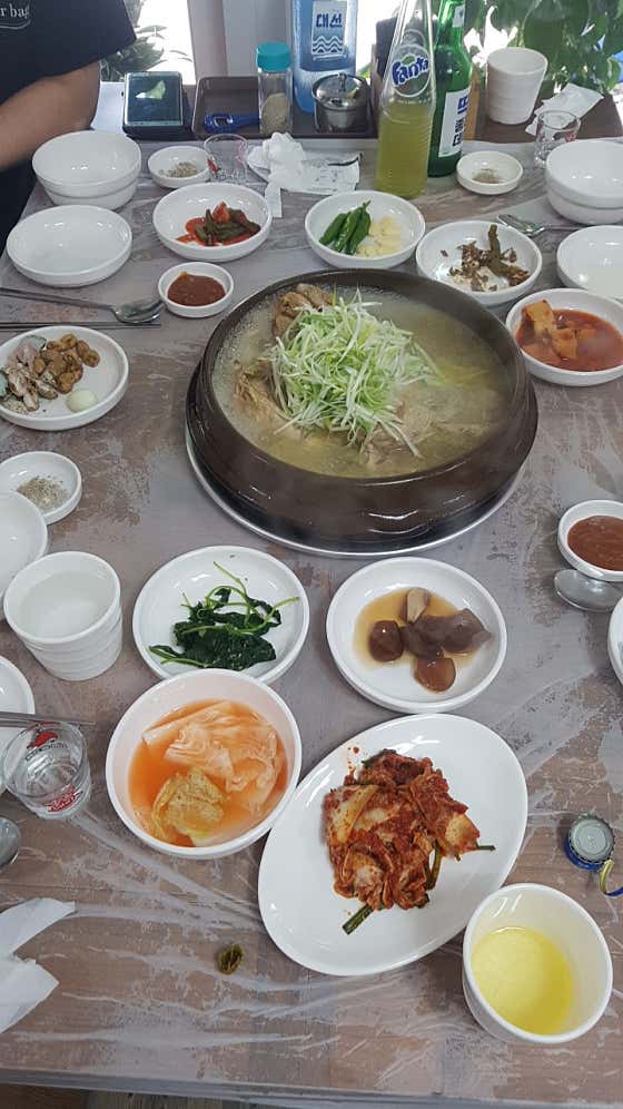 영도솔밭농원 · 네이버 지도·플레이스 4