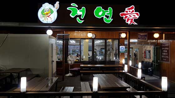 천연애