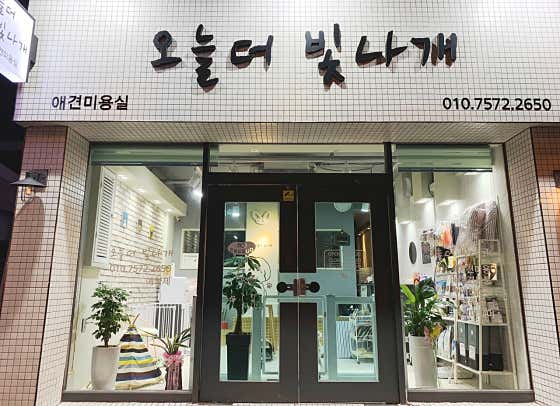 오늘더 빛나개