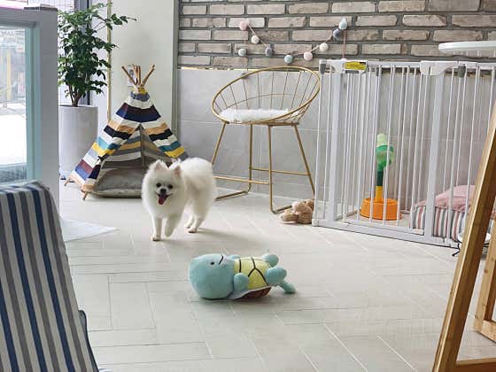 오늘더 빛나개 · 네이버 지도·플레이스 10