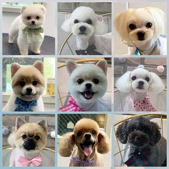 오늘더 빛나개 · 네이버 지도·플레이스 5