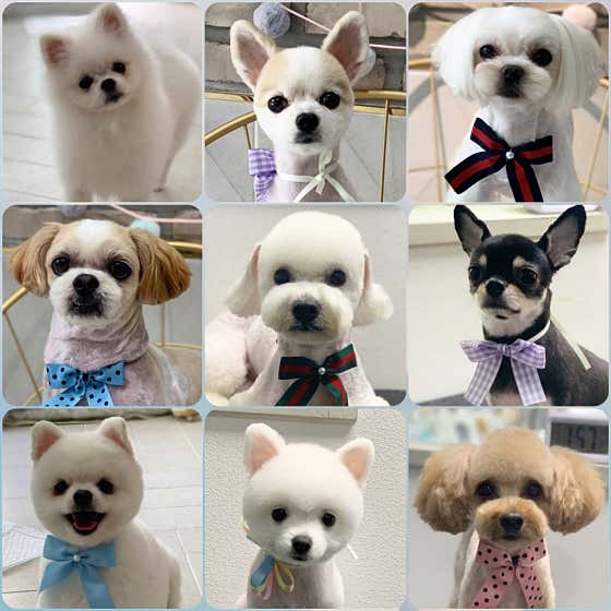 오늘더 빛나개 · 네이버 지도·플레이스 4