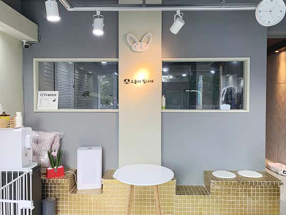 오늘더 빛나개 · 네이버 지도·플레이스 3