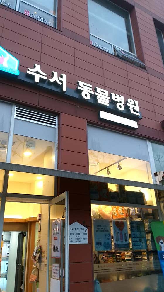 수서동물병원 대표이미지