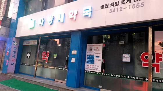 파랑새약국