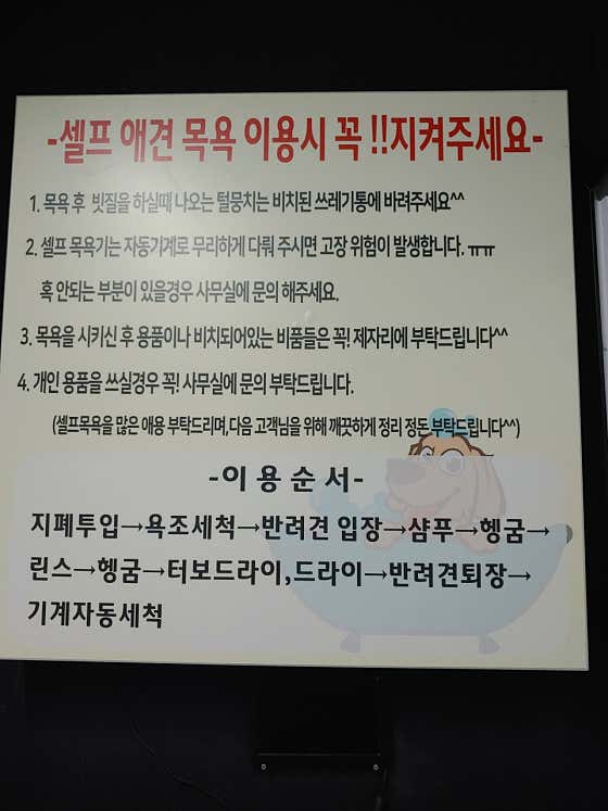 워시웨이 도그카페 · 네이버 지도·플레이스 8