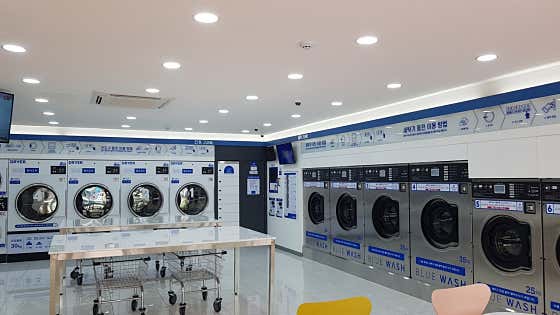 블루워시 명지점