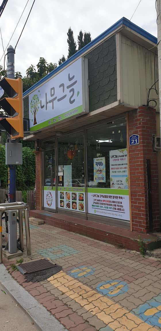 나무그늘