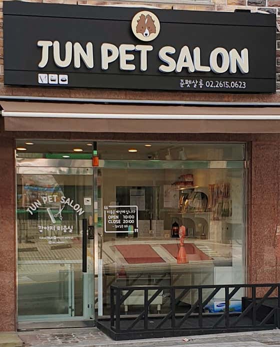 준펫살롱 · 네이버 지도·플레이스 4