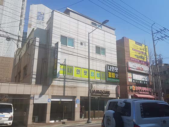 나인핏점핑