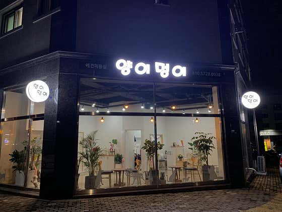 양이멍이 · 네이버 지도·플레이스 2