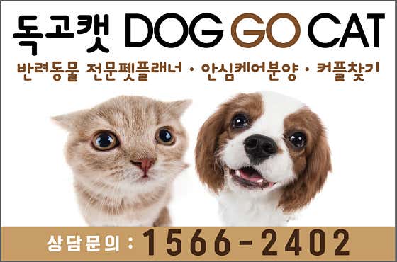 독고캣 · 네이버 지도·플레이스 4