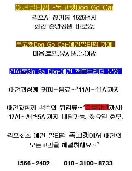 독고캣 · 네이버 지도·플레이스 6