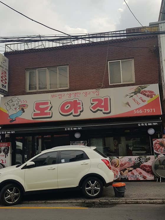 도야지