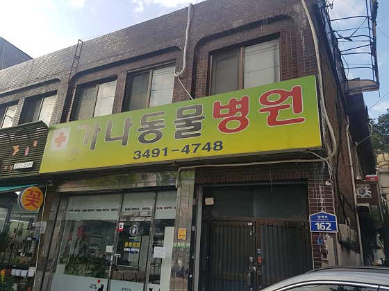 가나동물병원(서울 도봉구)