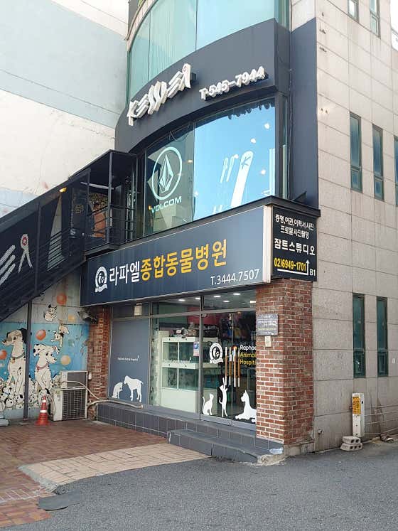 라파엘동물병원 대표이미지