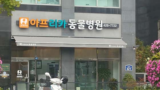 아프리카동물병원 · 네이버 지도·플레이스 2
