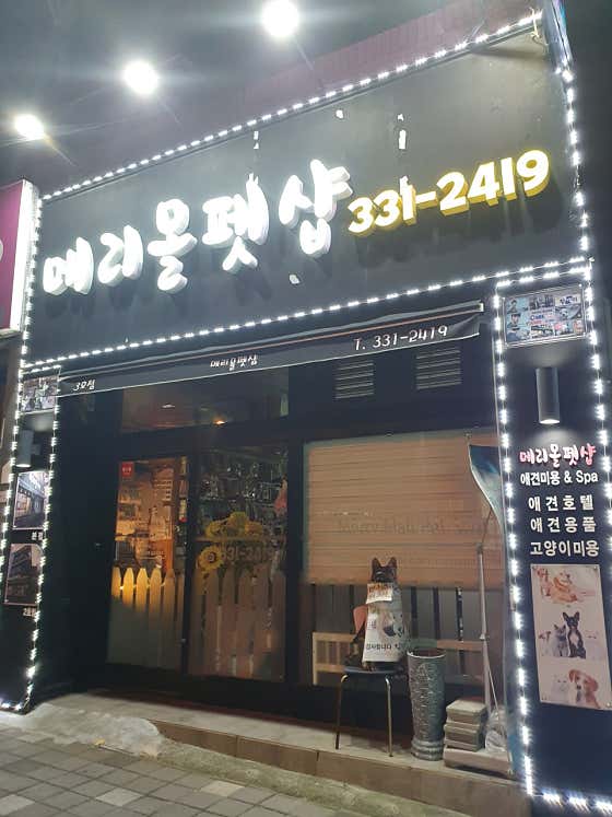 메리몰펫샵 3호점