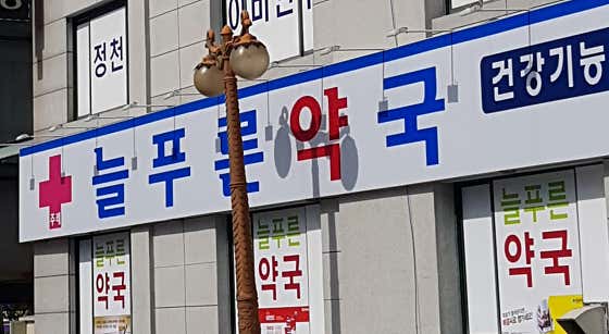 주례늘푸른약국