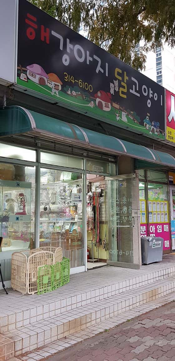 해강아지달고양이 · 네이버 지도·플레이스 6